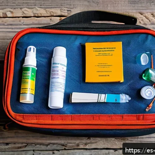 Home 30 네팔 여행 시 필수 의약품 - A detailed travel health kit layout on a rustic wooden table featuring essential medications and sup...