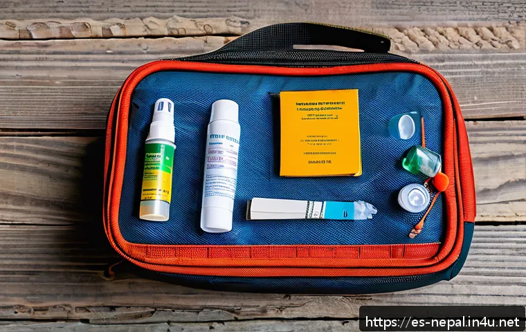 네팔 여행 시 필수 의약품 - A detailed travel health kit layout on a rustic wooden table featuring essential medications and sup...